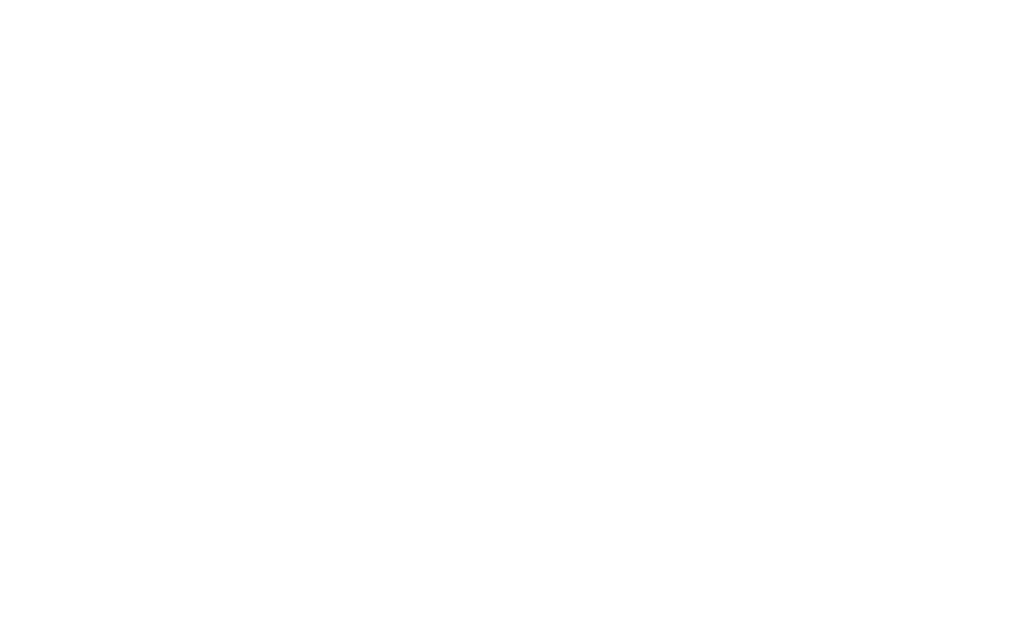 ANIMAL PRACTICE S.A R.L.