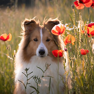 Mrs Nature Photography