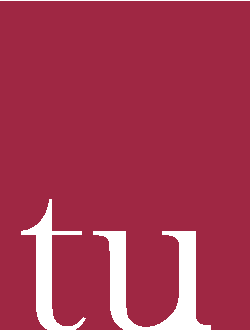Intuitu Partners