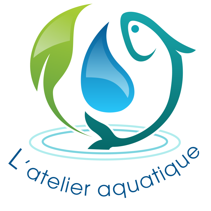 L'Atelier Aquatique