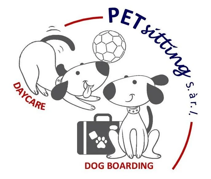 Petsitting