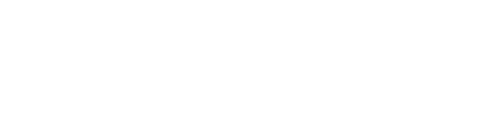 NOOSPHERE Brand Strategy