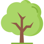 Forestry Solutions