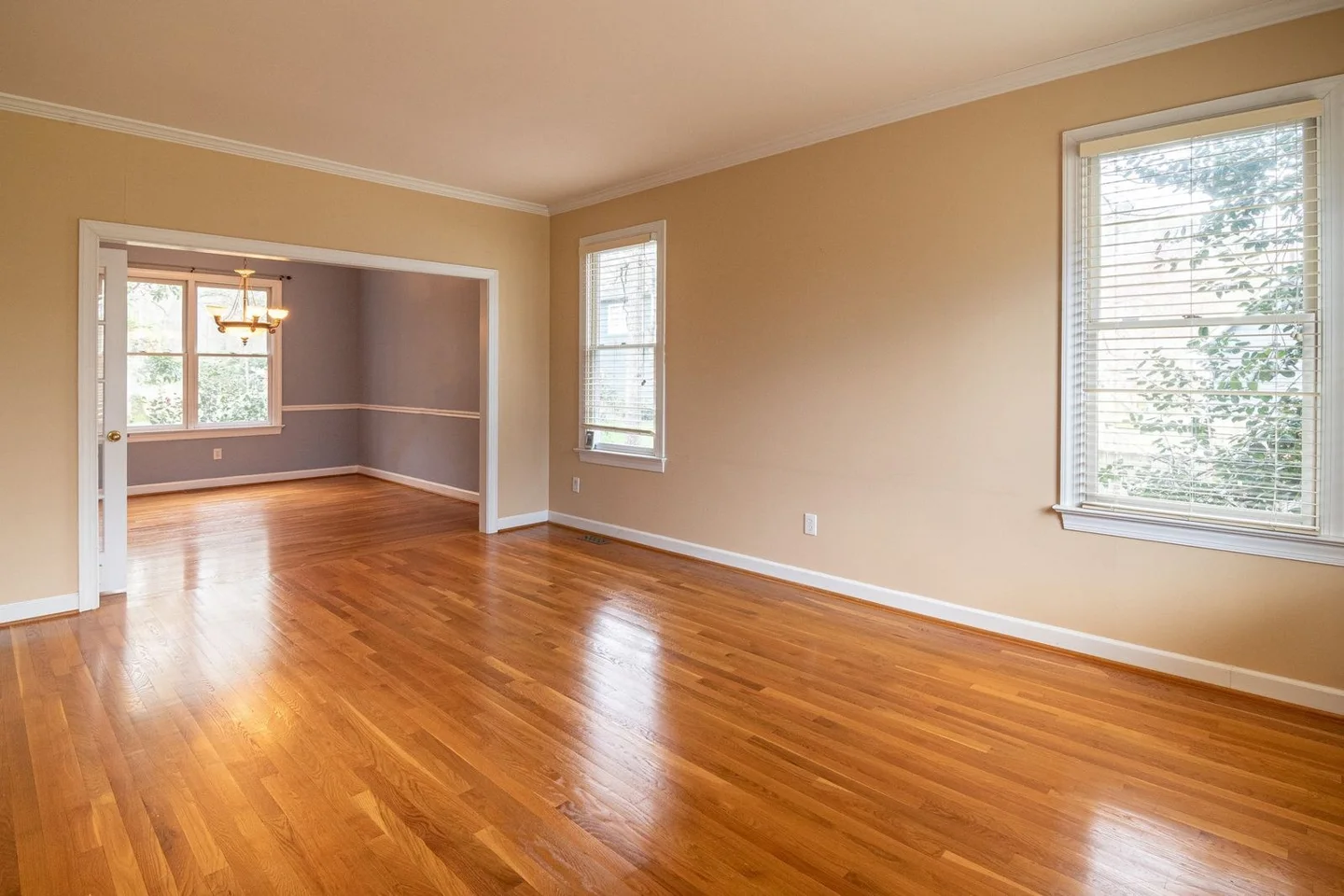 Freshly sealed wooden floor in an empty room (stock photo)