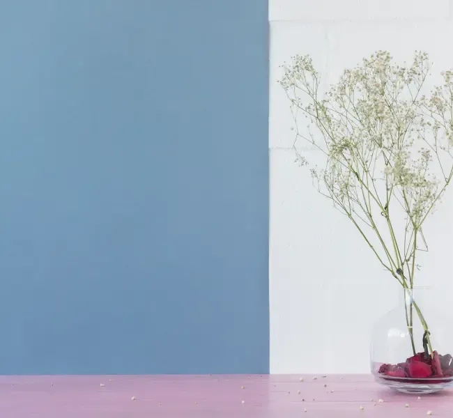 Blaue und weiße Wände neben einer Vase auf einer rosa Oberfläche.