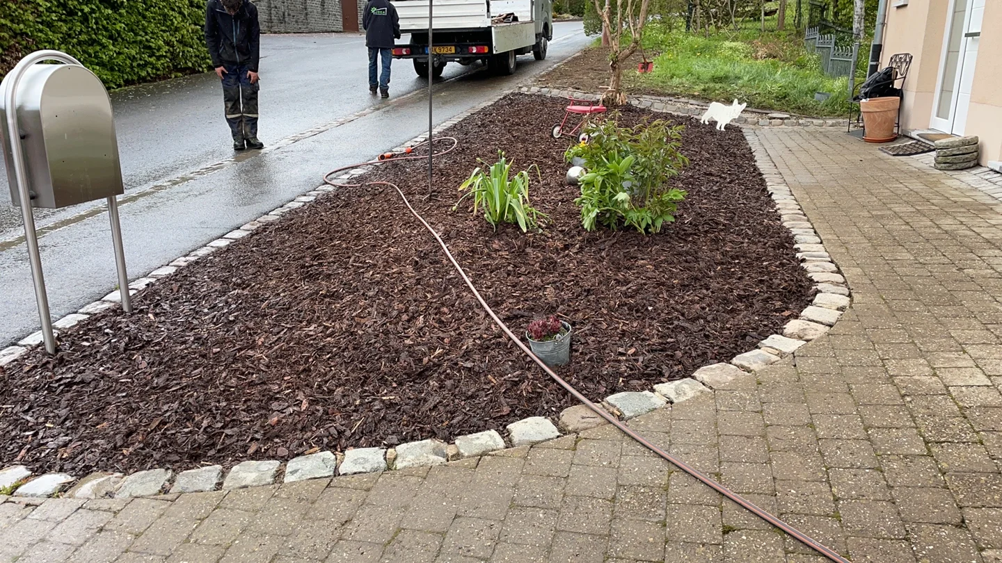 Freshly planted bed with mulch and a paved edge