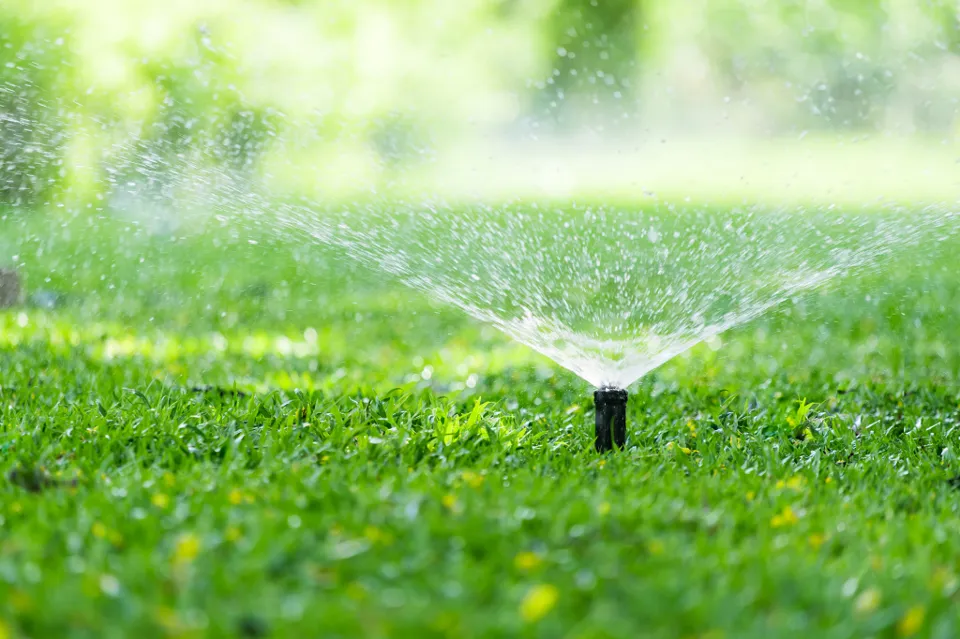 Rotating sprinkler watering a lawn.